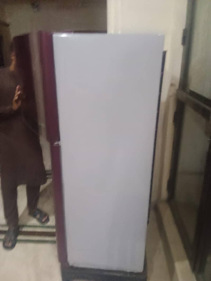 orient fridge 2