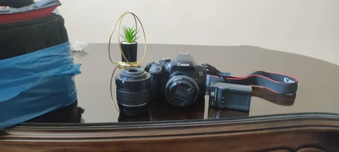 Canon 750D with 2 lenses, battery, charger and bag