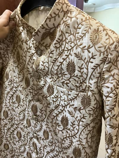 Prince Coat (1 hour used only)