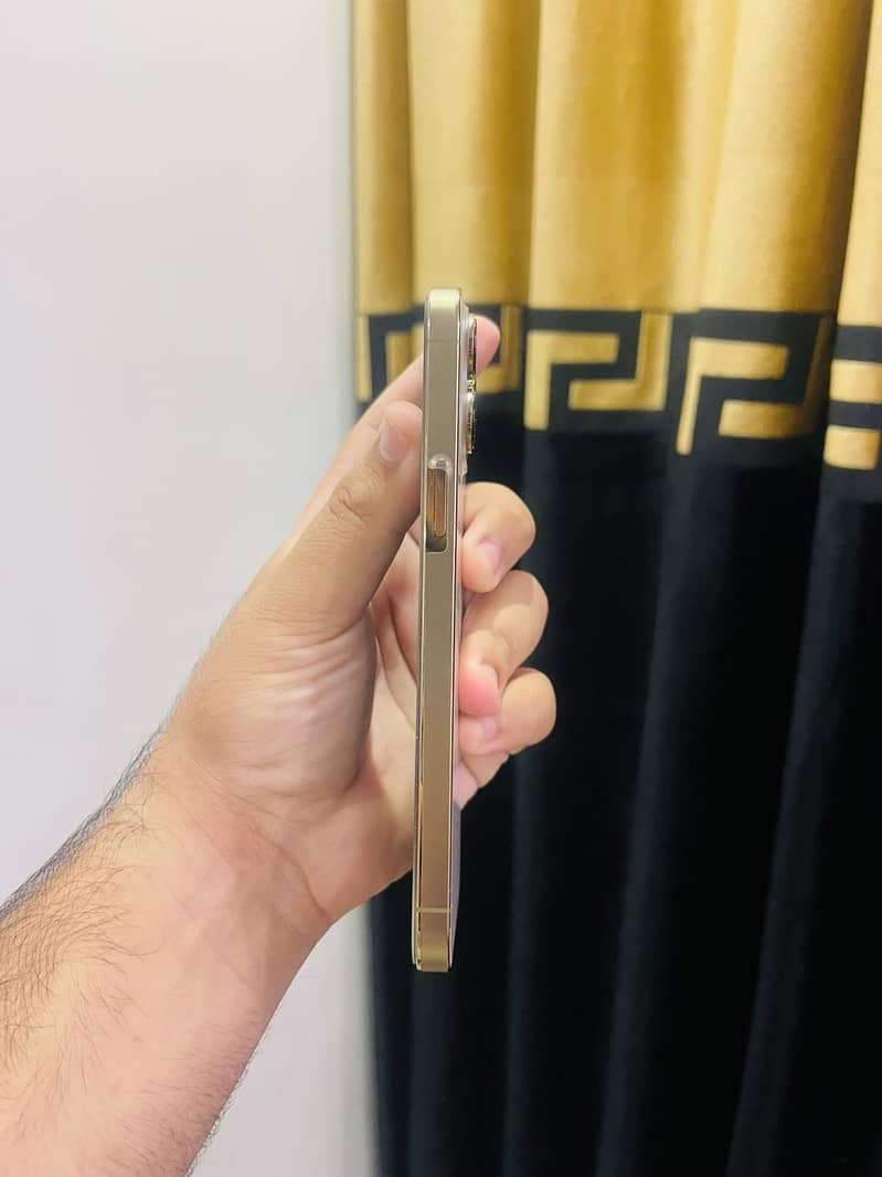 Apple iPhone 13 Pro Max 6