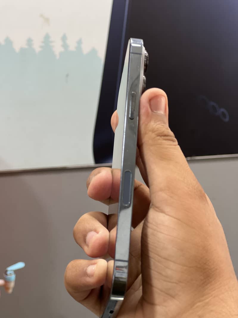 Apple iPhone 13 Pro Max 3