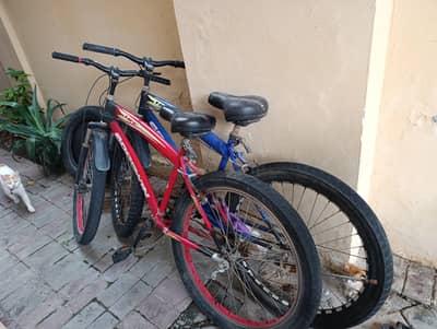 2 big cycles