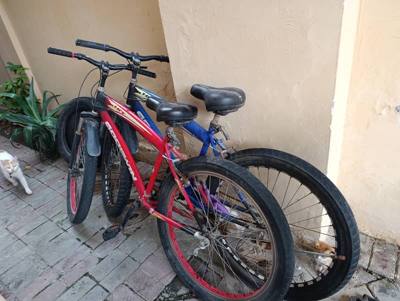 2 big cycles 0