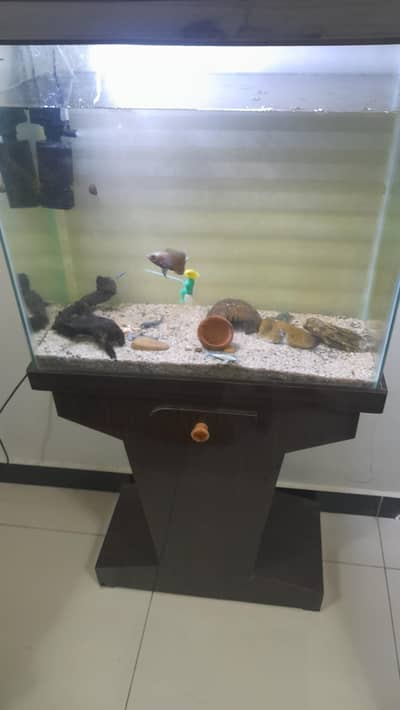 full setup but slightly used