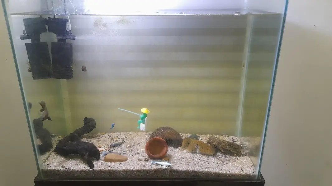 full setup but slightly used with out fish — photo 2
