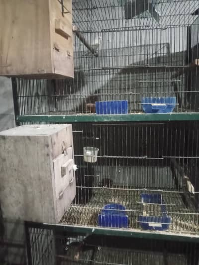 used cages