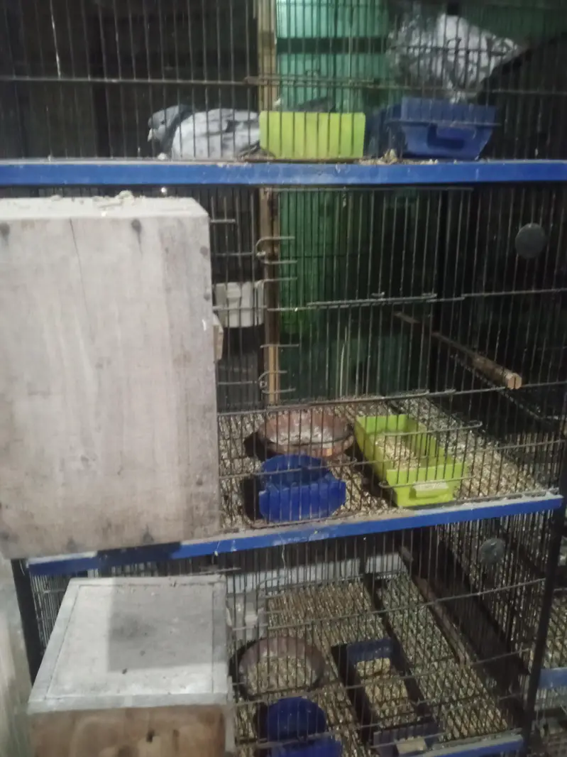 used cages — photo 2