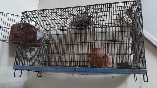 2 portin cage 3×1.5×1.5