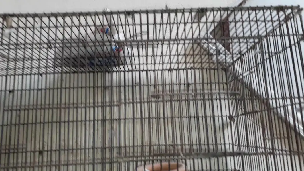 2 portin cage 3×1.5×1.5 — photo 2