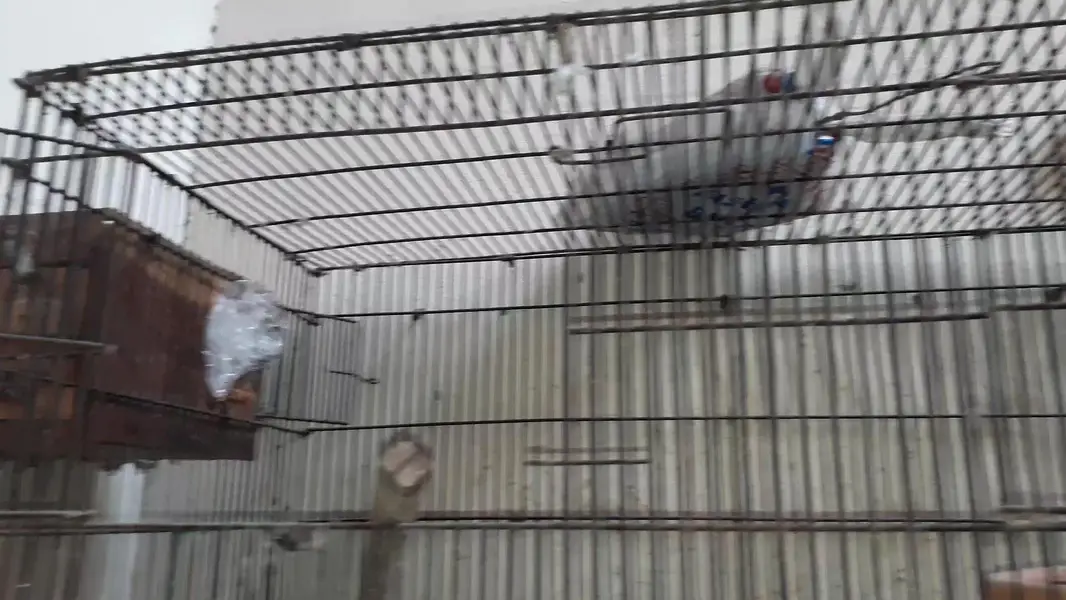 2 portin cage 3×1.5×1.5 — photo 3