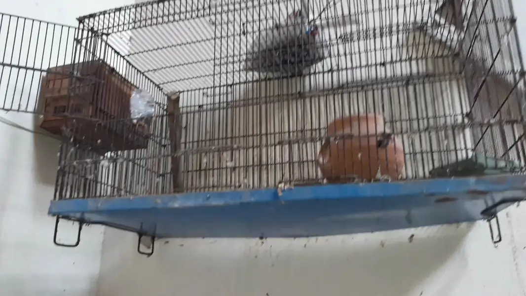 2 portin cage 3×1.5×1.5 — photo 4