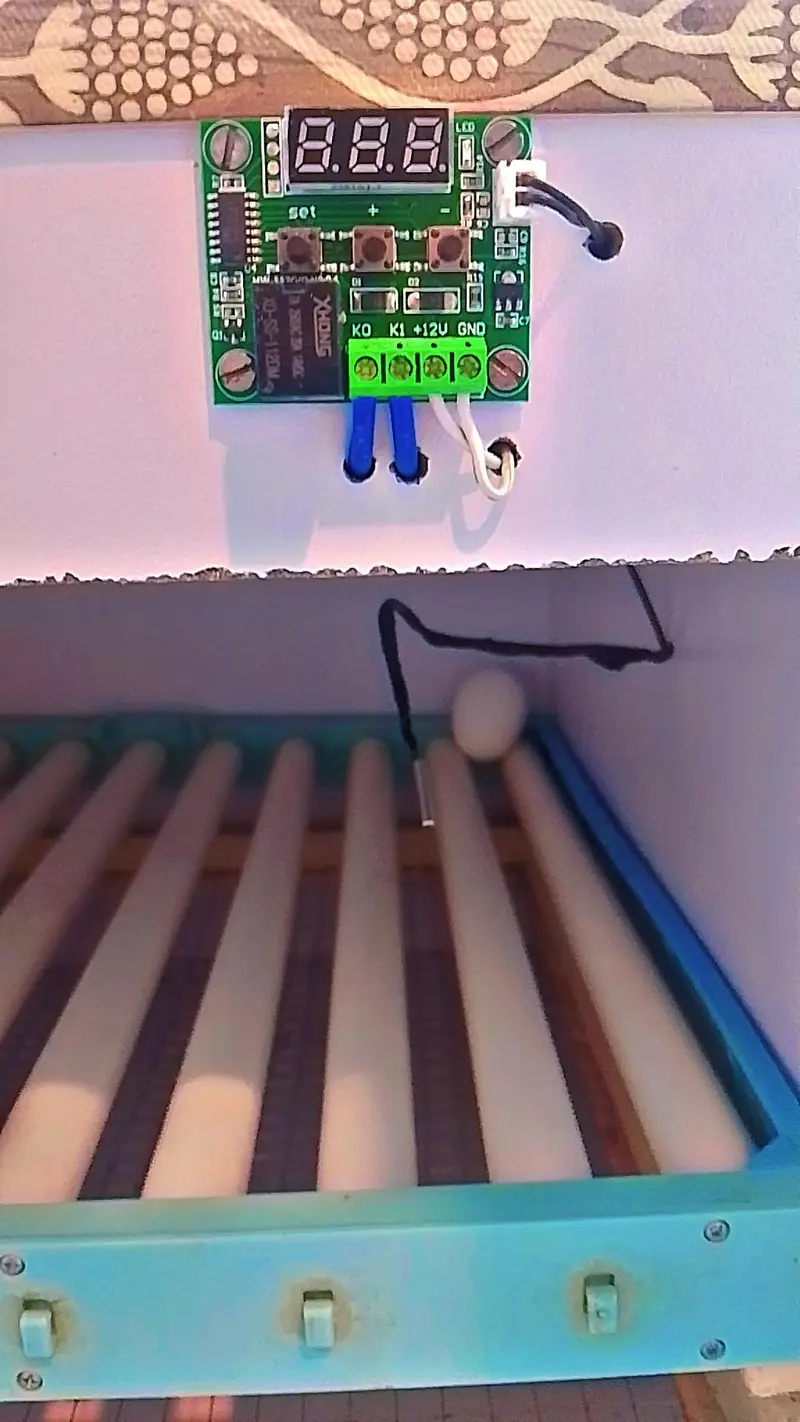 Fully automatic incubator 80 eggs — photo 3