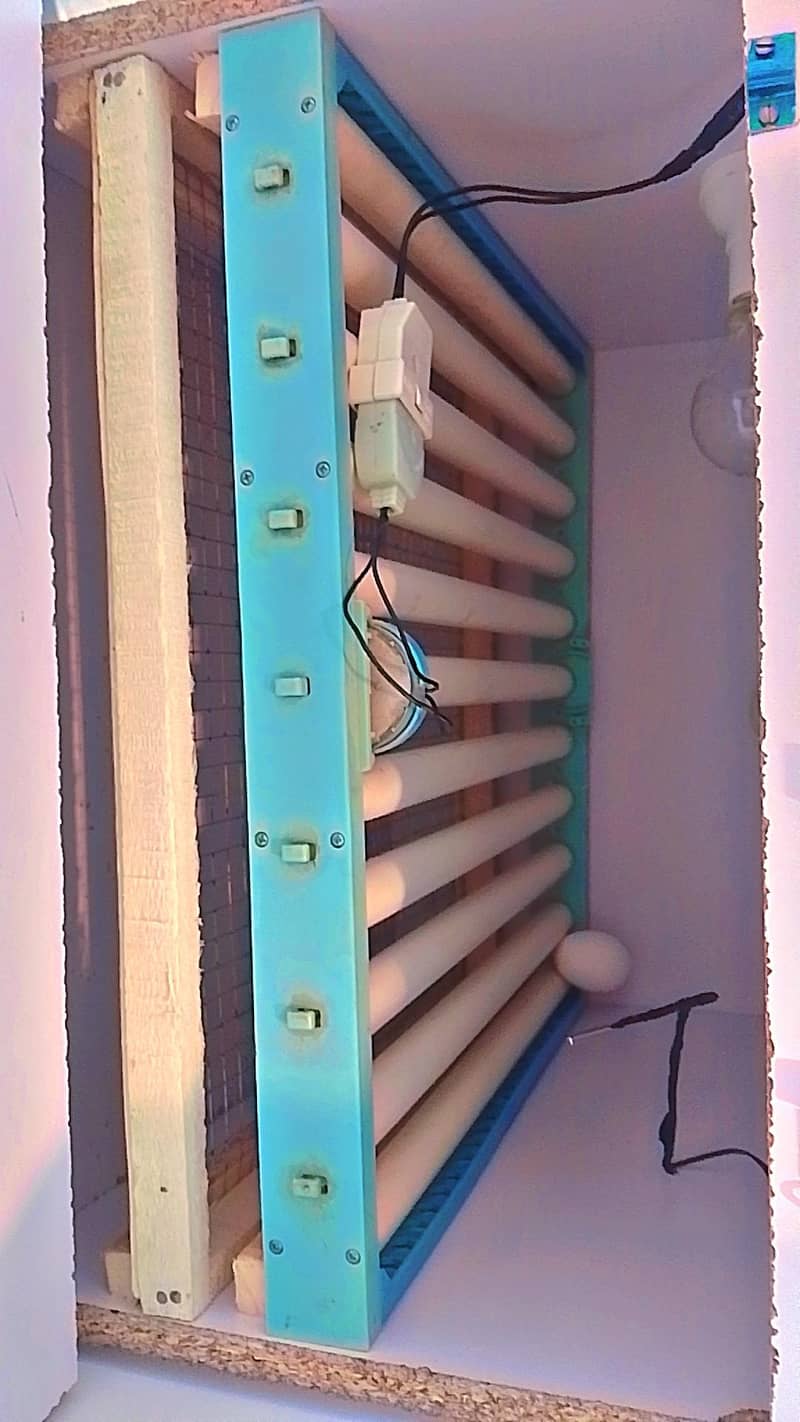 Fully automatic incubator 80 eggs 3