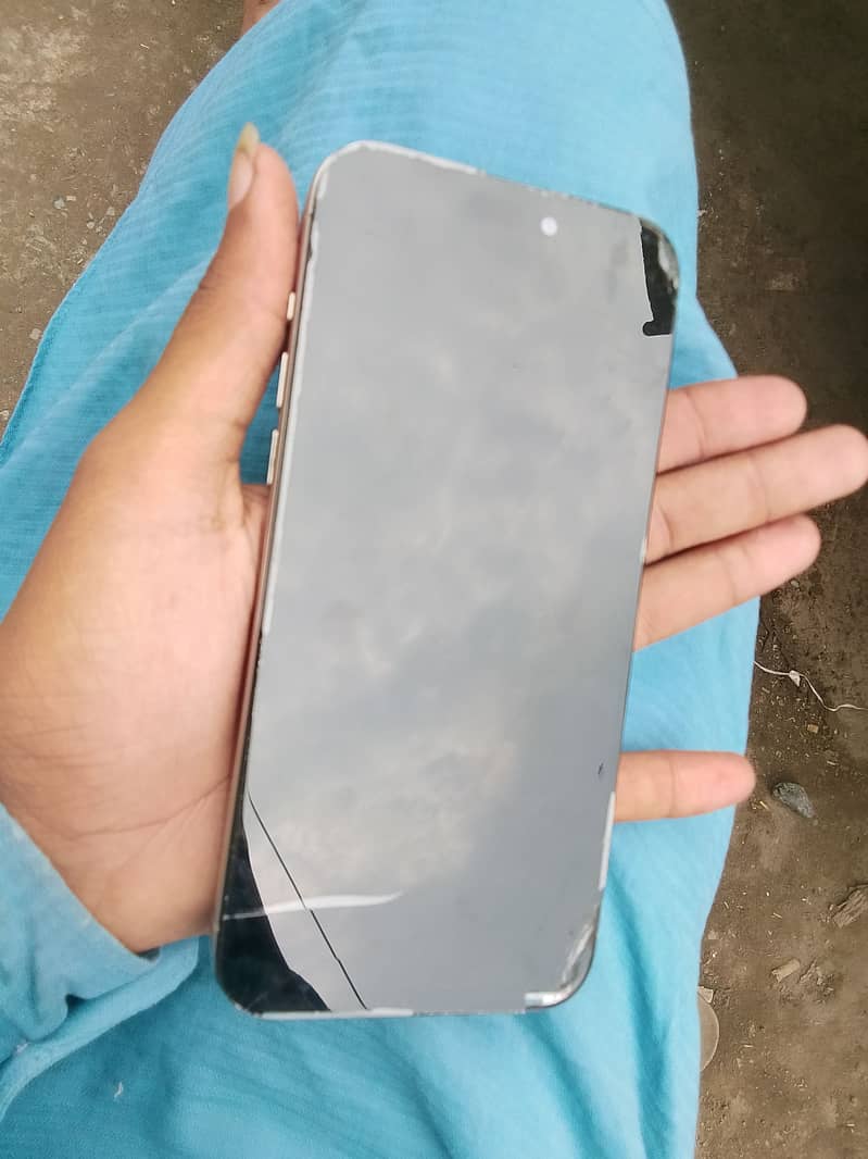 Apple iPhone 15 Pro Max 0