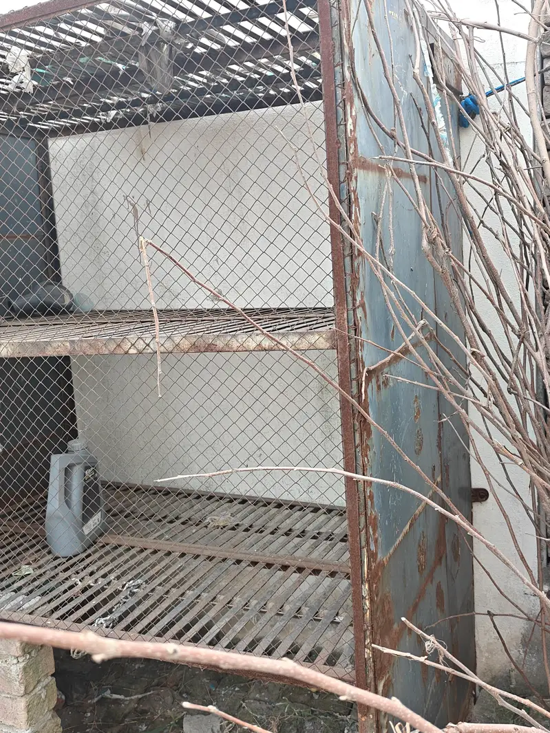 bird cage, hen cage — photo 4
