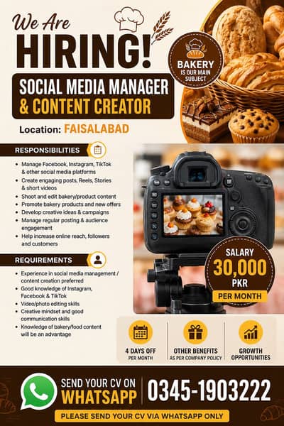 Social Media manager and content creator