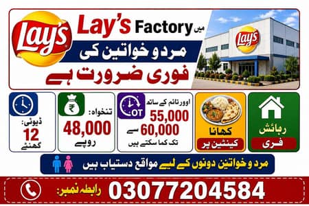 lays company