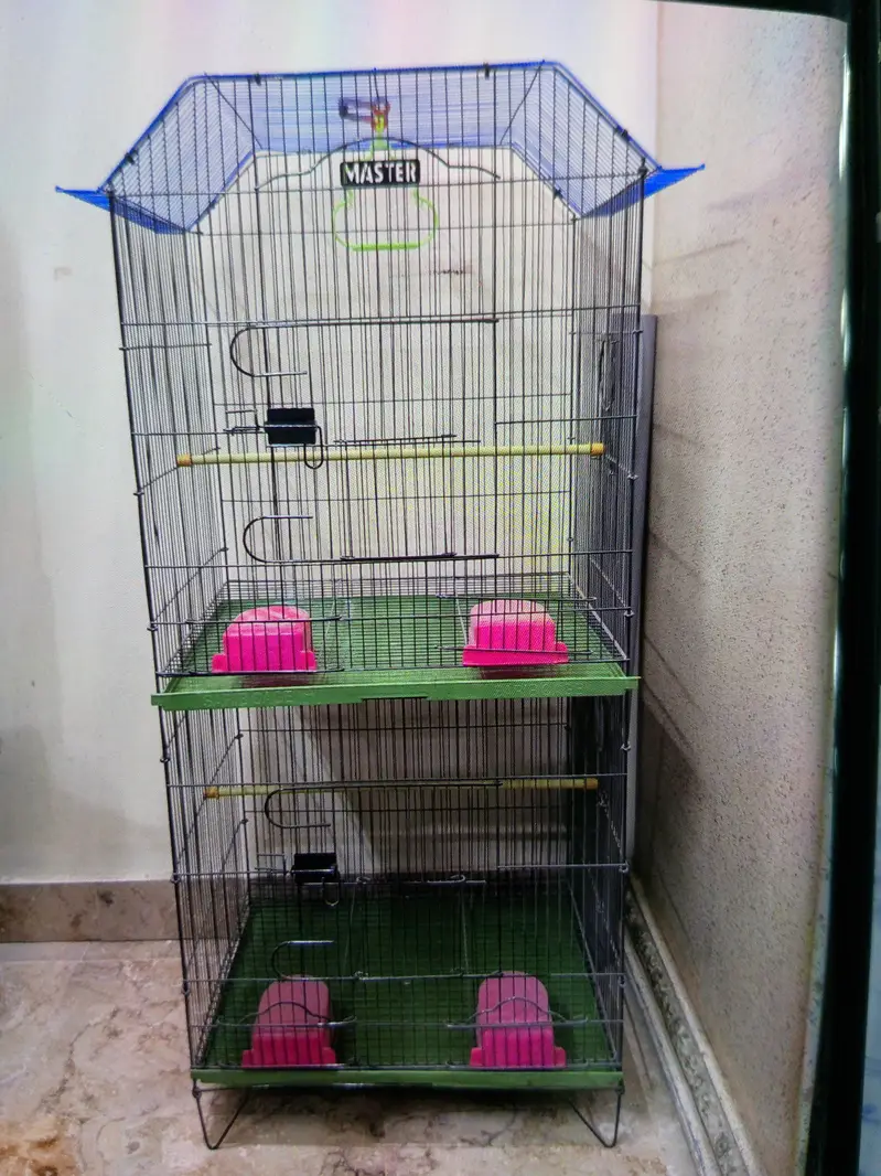 2 portion cage new brand Master — photo 2