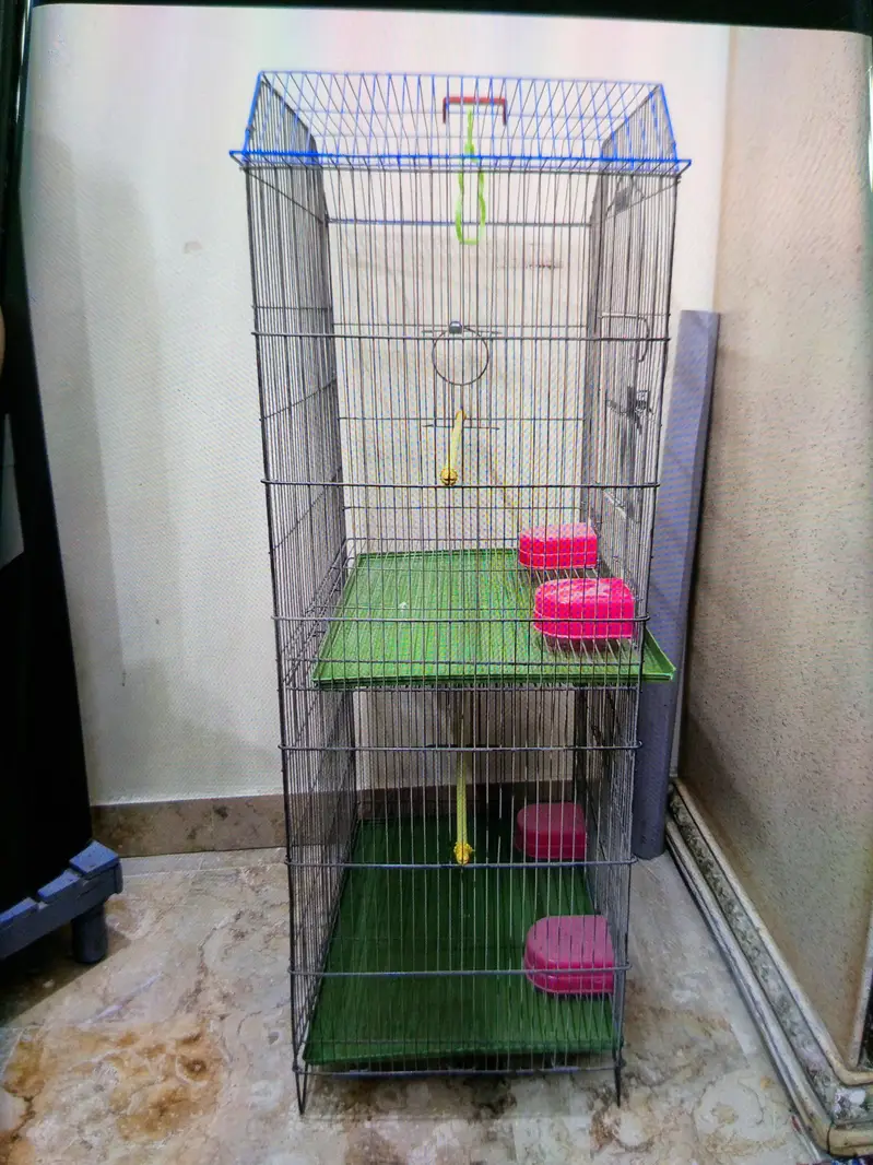2 portion cage new brand Master — photo 3