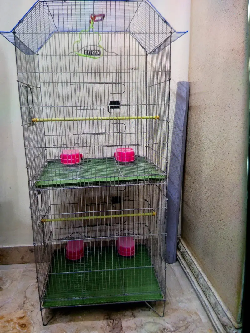 2 portion cage new brand Master — photo 4