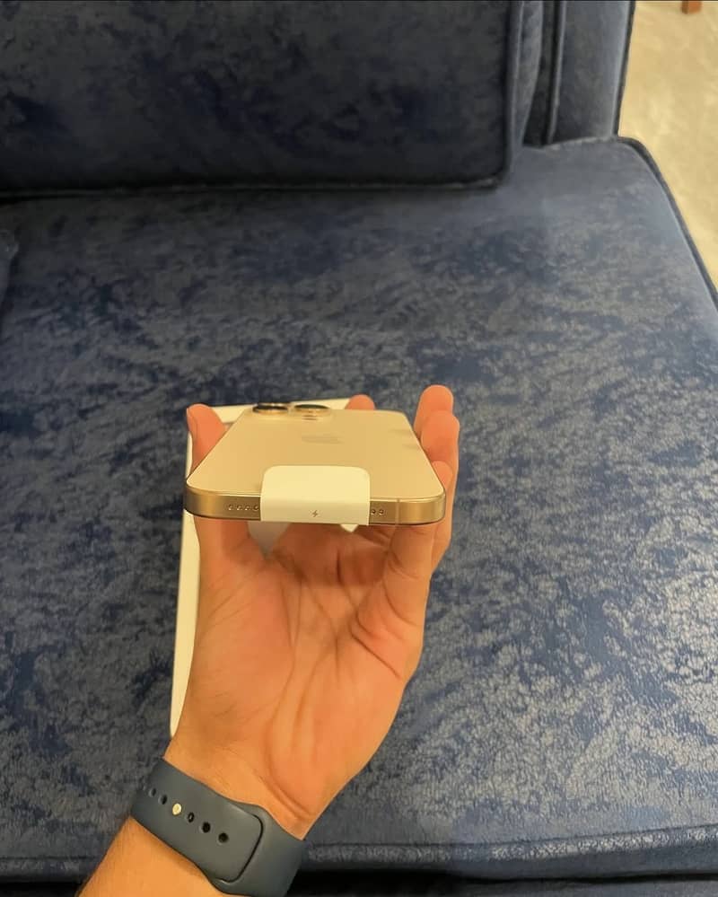 Apple iPhone 16 Pro Max 1