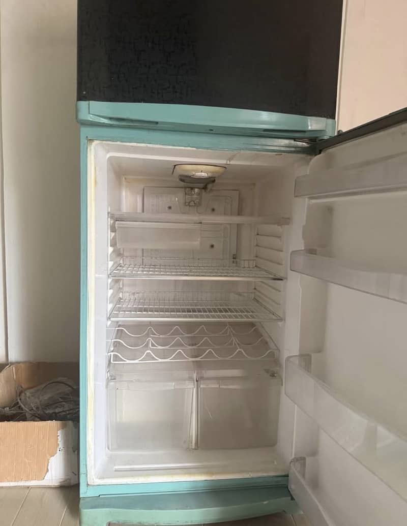 Waves Fridge 2