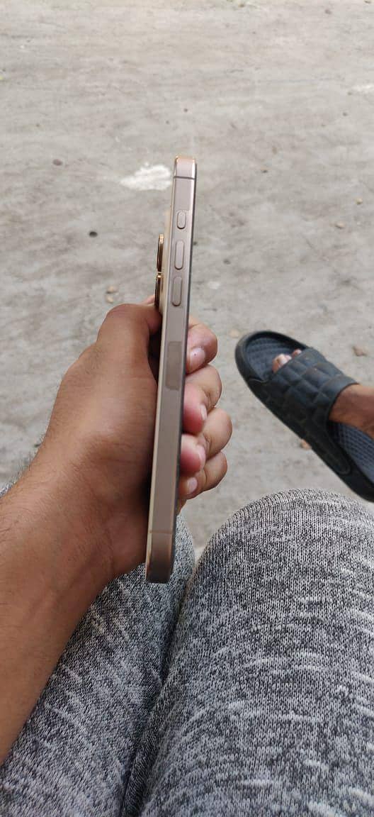 Apple iPhone 16 Pro Max 2
