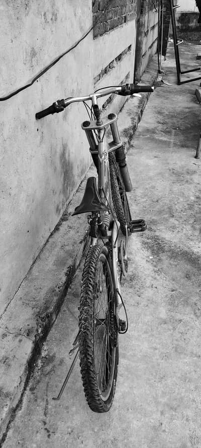 Chicago imported cycle