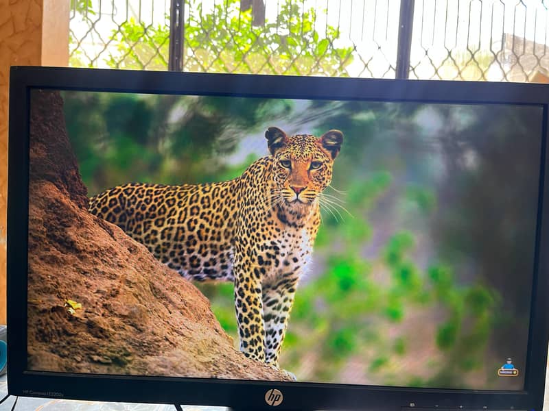 Monitor hp 6