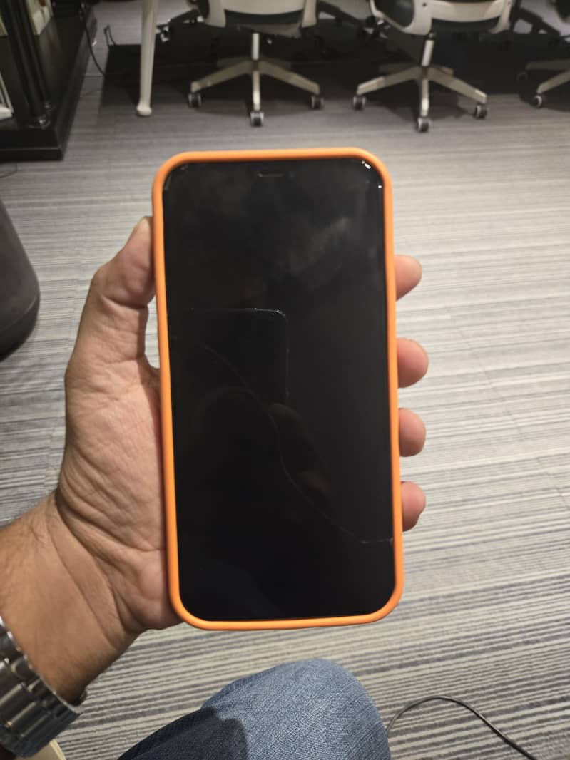Apple iPhone 12 Pro Max 1