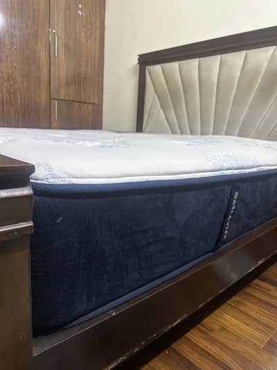King Dolce Vita Supreme Passione - Moving out sale