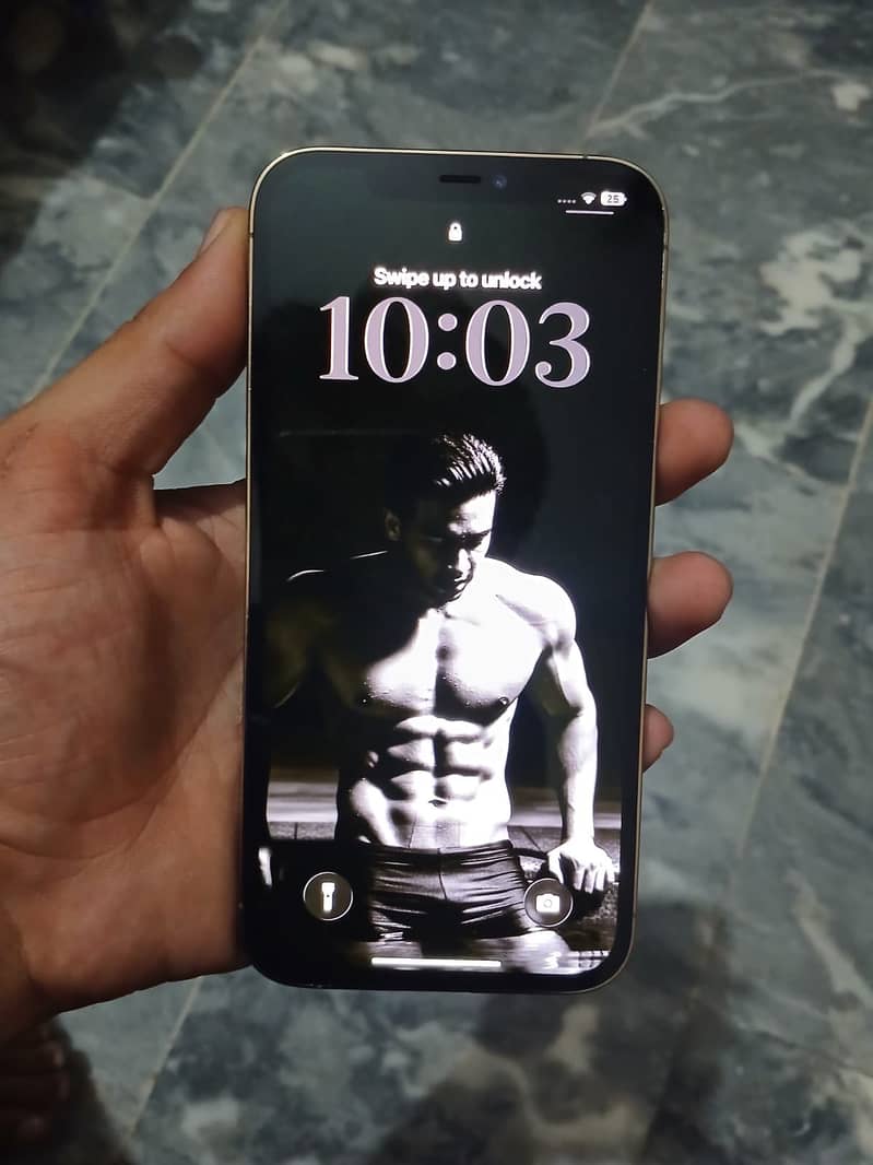 iPhone 12 pro max jv 3