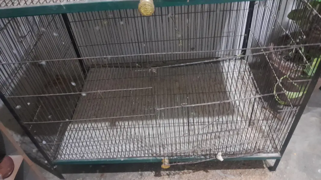 cage for sale — photo 3