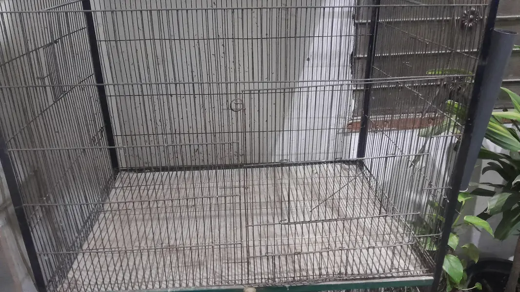 cage for sale — photo 4