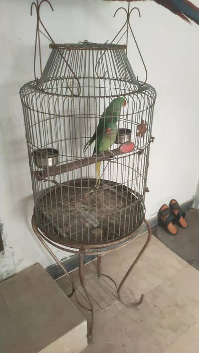 captive bounded pair with fancy cage