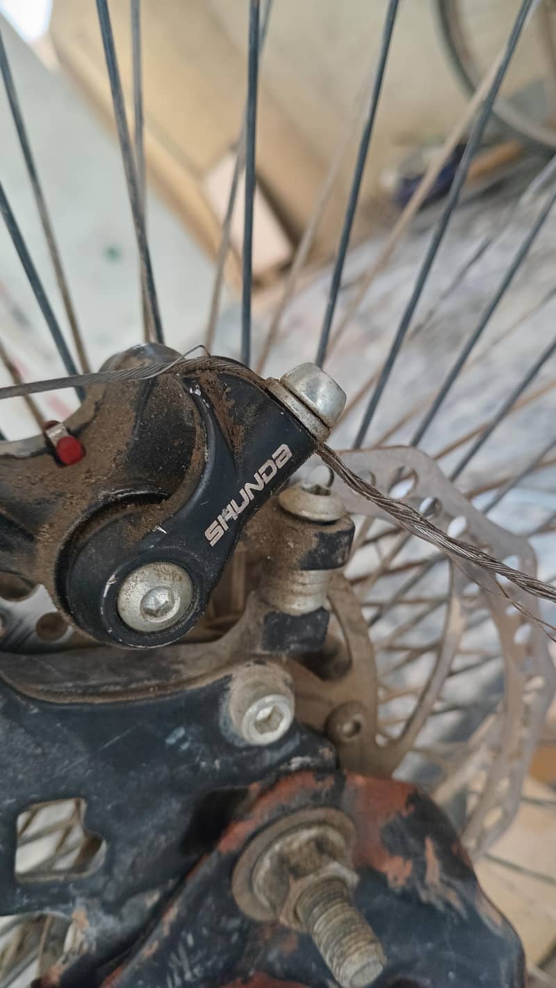 Modern Cycle 2