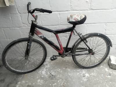 cycle