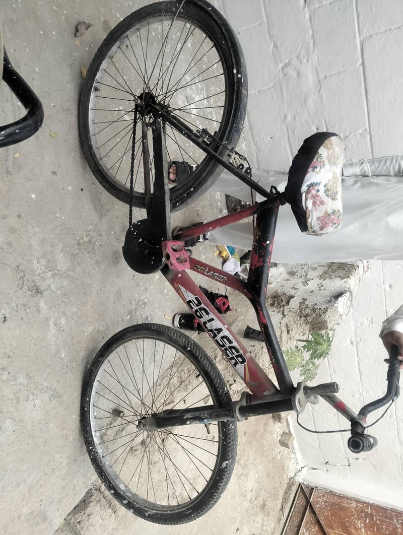 cycle 1