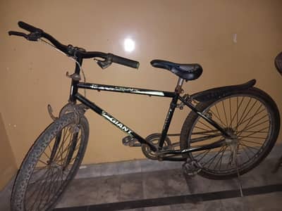 cycle for sale