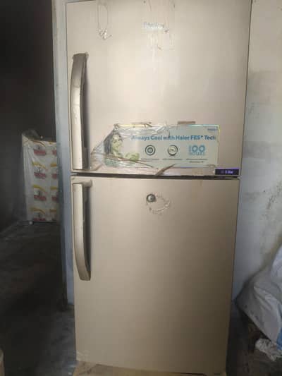 frigh, Haier  brand medium size