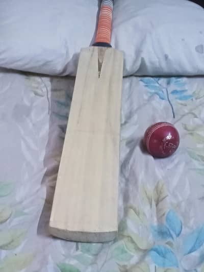 hard ball bat