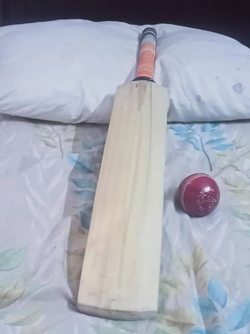 hard ball bat 1