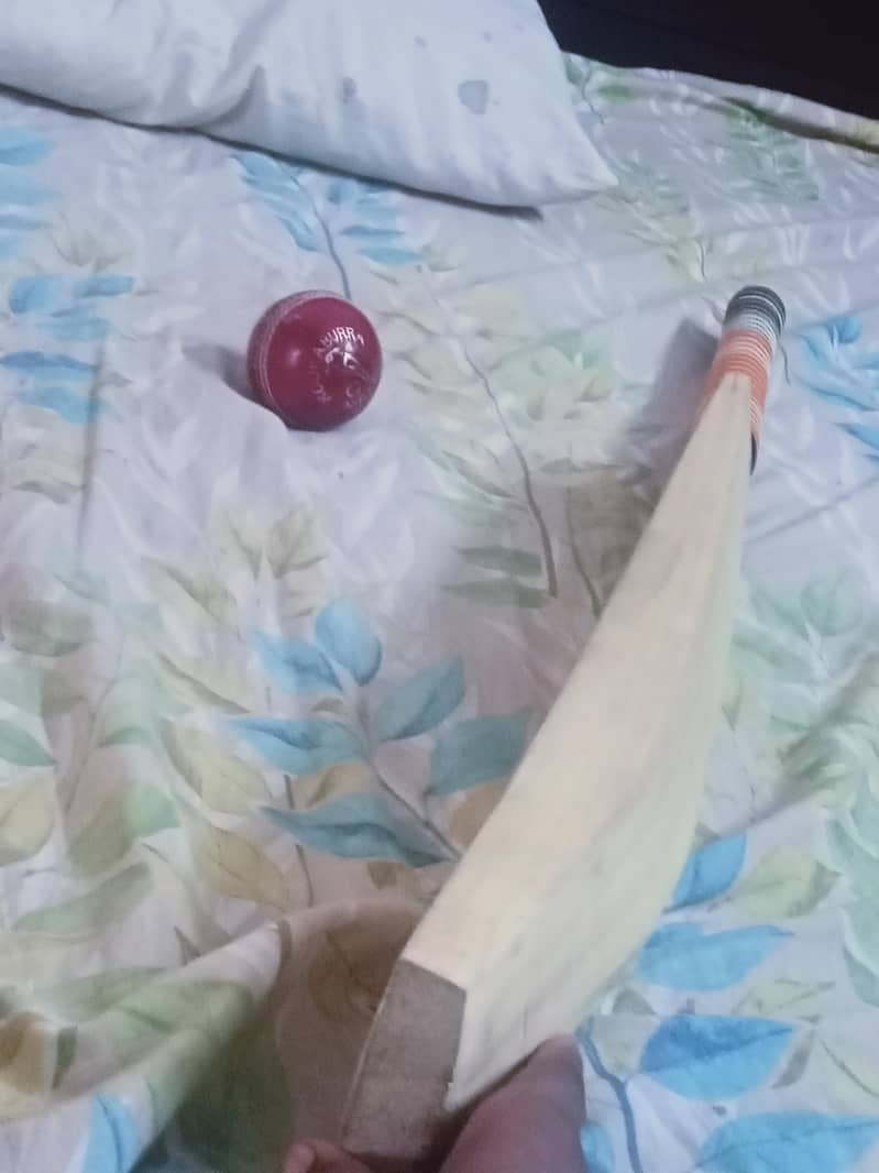 hard ball bat 2