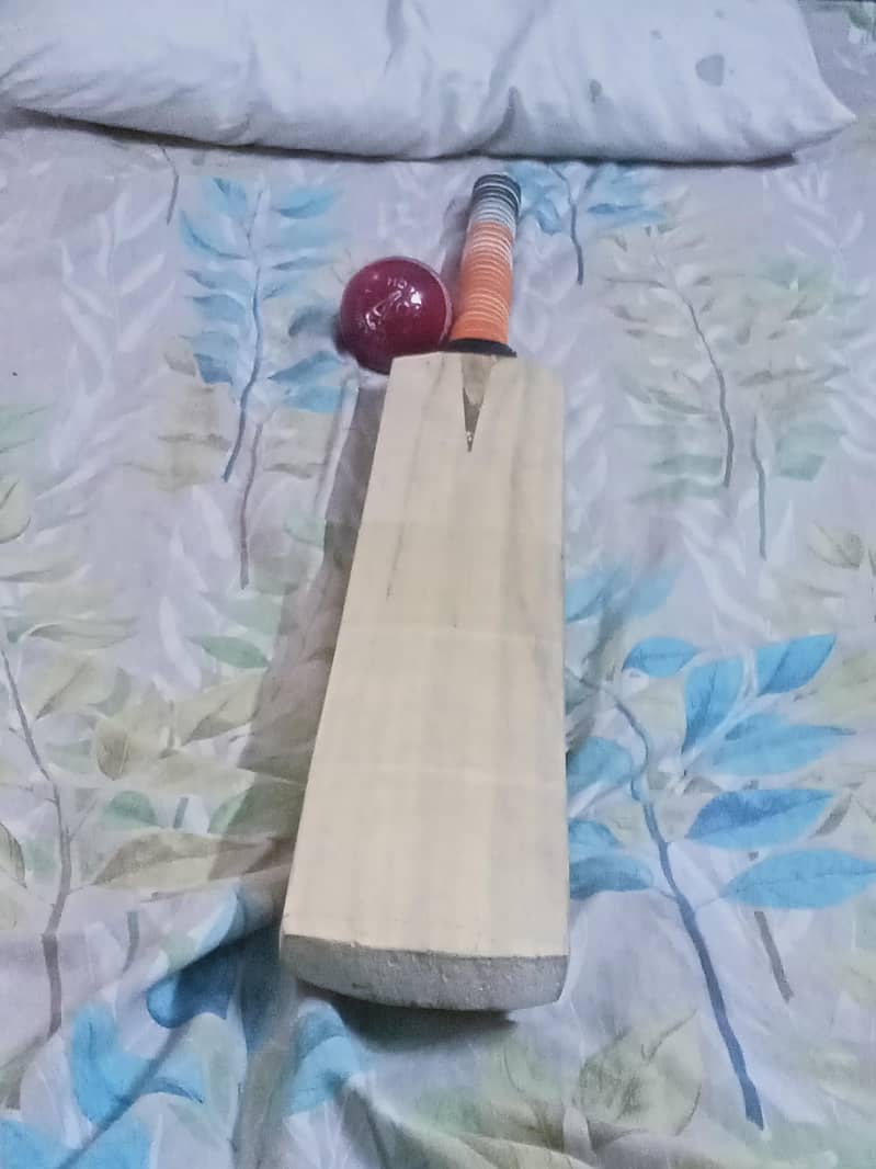 hard ball bat 3