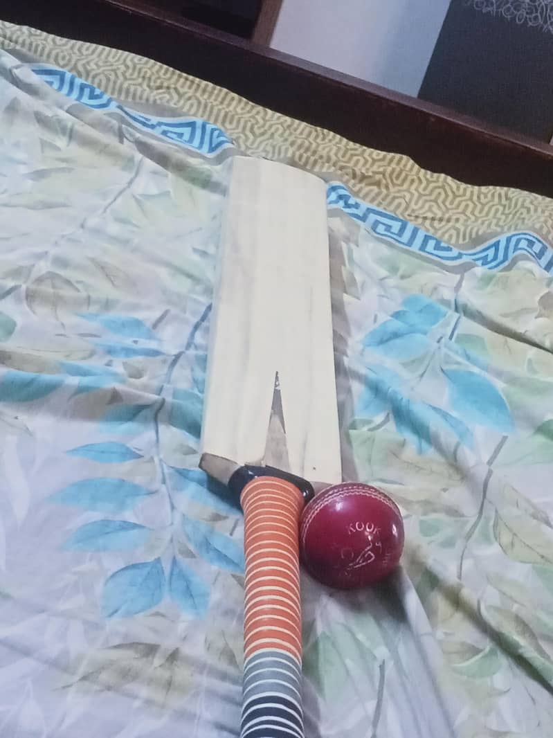 hard ball bat 4
