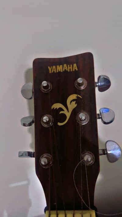 yamaha fresh guitar