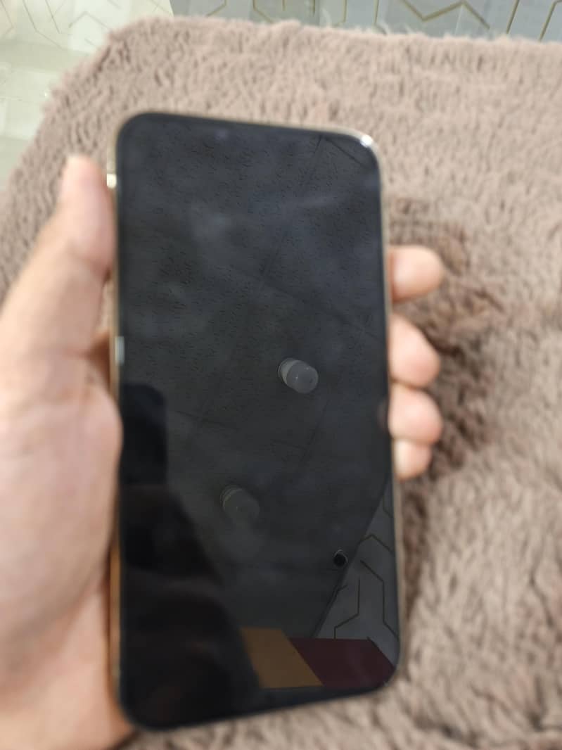 Apple iPhone 13 Pro Max 1