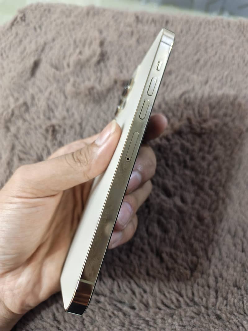 Apple iPhone 13 Pro Max 2