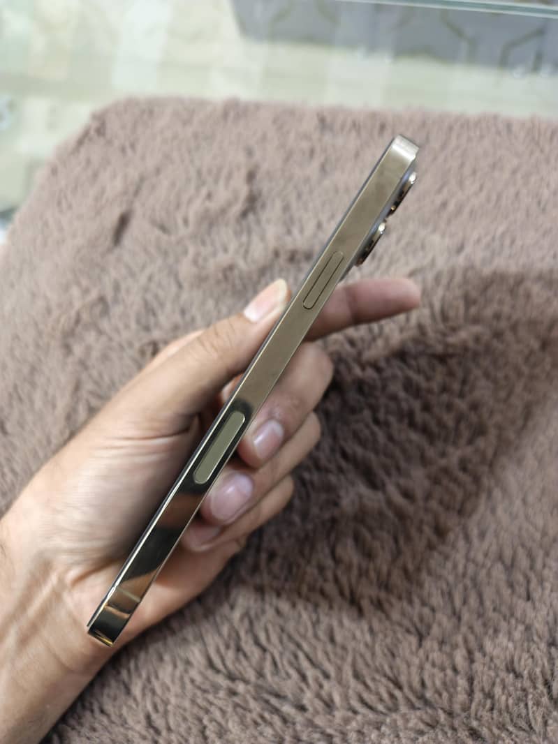 Apple iPhone 13 Pro Max 3