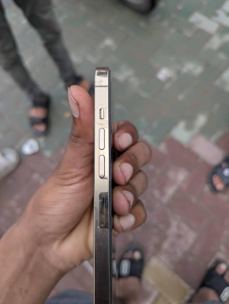 Apple iPhone 13 Pro Max 1